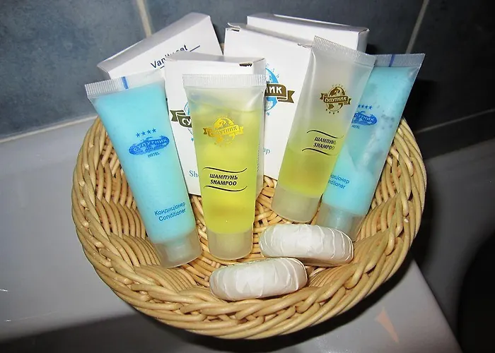 Conference Suputnyk Hotel 4*